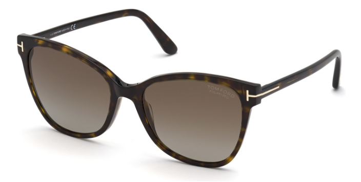 [Shiny Classic Dark Havana - Polarized Brown]